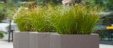 Plantenbakken